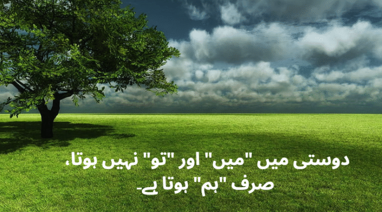 poetry about friendship in urdu