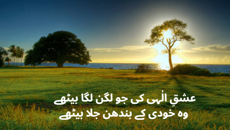 sufi punjabi deep poetry
