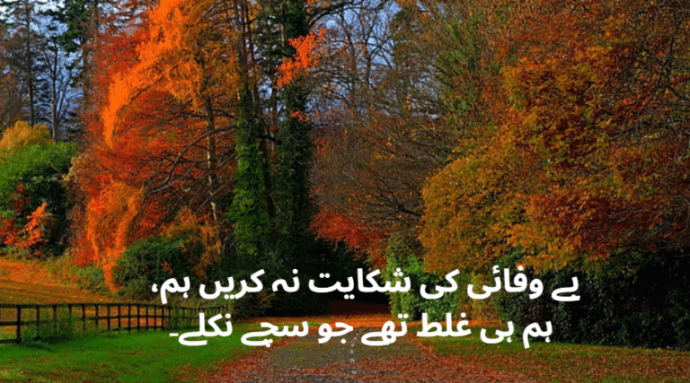 40+ Bewafa Poetry In urdu