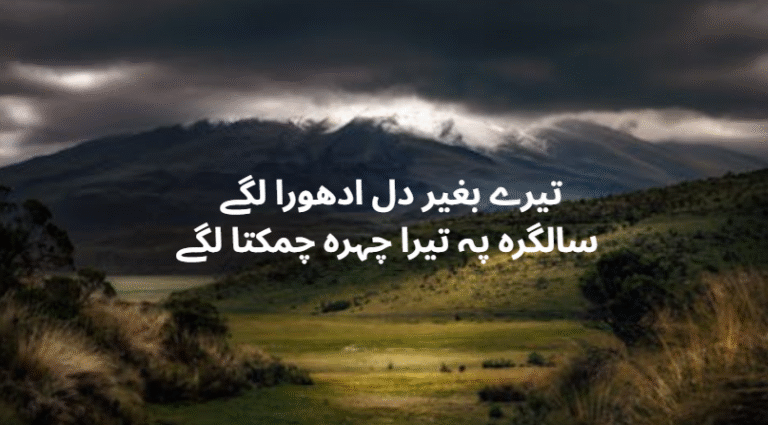 urdu poetry birthday wishes